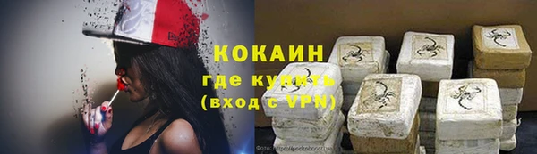 стаф Алексин