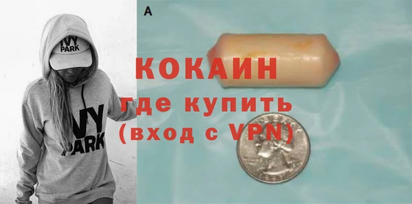 стаф Алексин