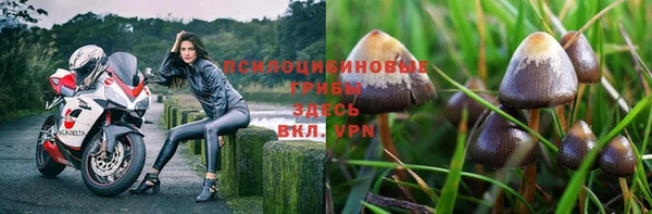 амфетамин Алексеевка